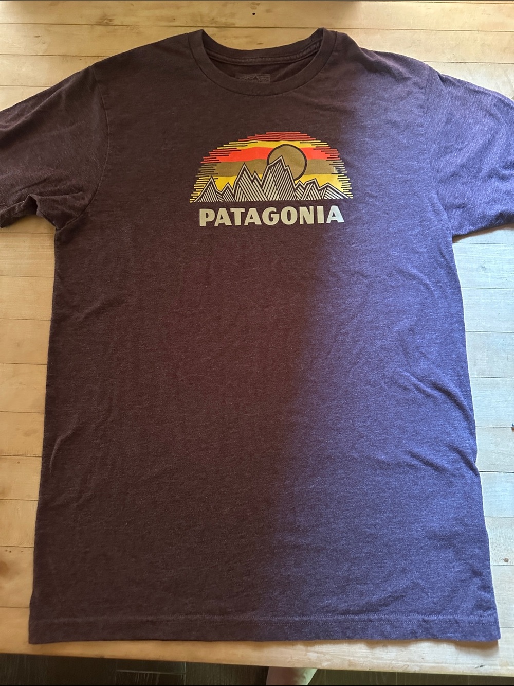 Patagonia Men's Plum Short-Sleeve Graphic Tee with Sunset Mountain Logo